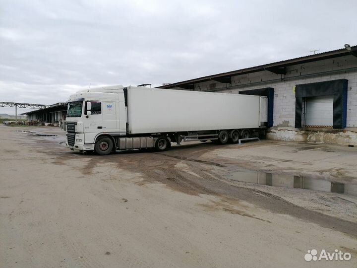 DAF FT XF 105.460, 2013