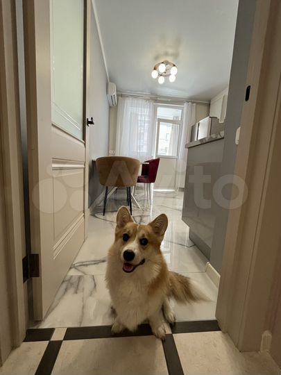 2-к. квартира, 67 м², 2/6 эт.