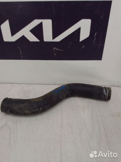 Патрубок радиатора охлаждения двс Kia RIO 2
