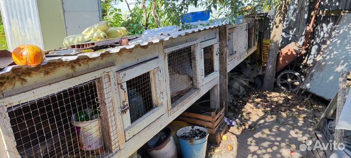 Клетка для кролика