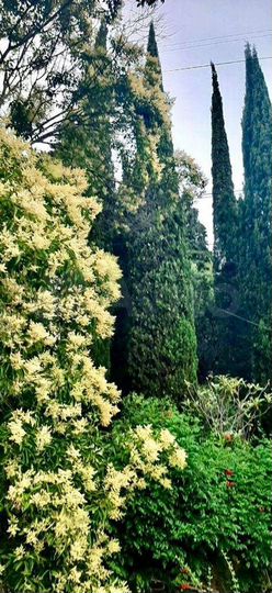 Дом 150 м² на участке 5 сот.