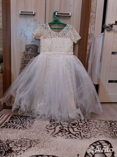 Женская одежда