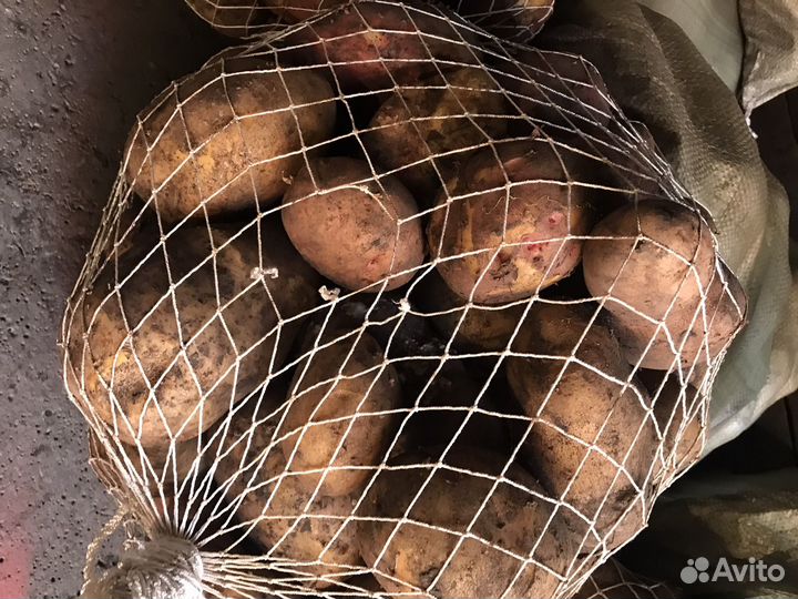 Картофель деревенский