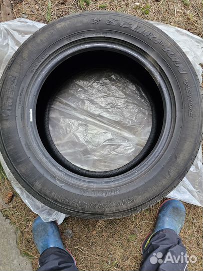 Pirelli Scorpion Verde 215/65 R17 99V