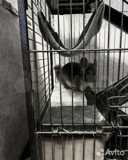 Охлаждающая плитка камень для шиншилл