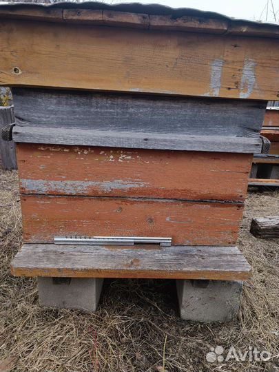 Ульи для пчел бу