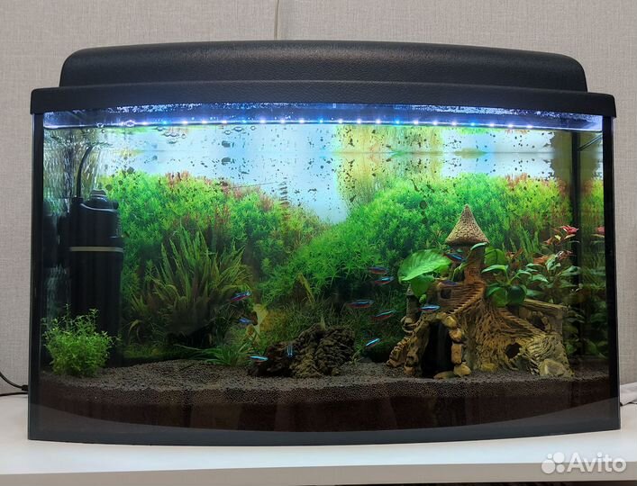 Аквариум 45л полный комплект