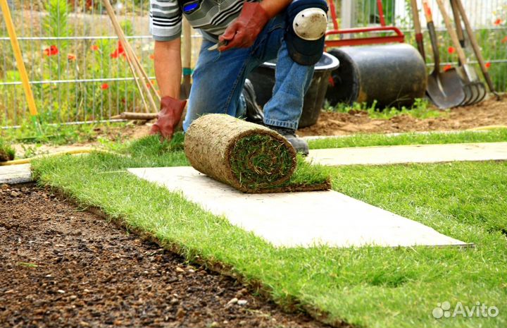 Газон от производителя