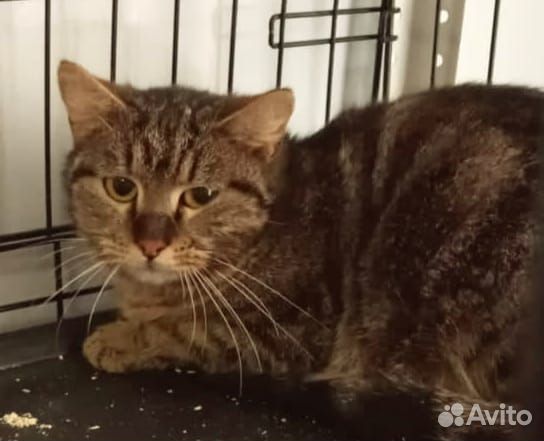 Мне очень нужен уютный дом