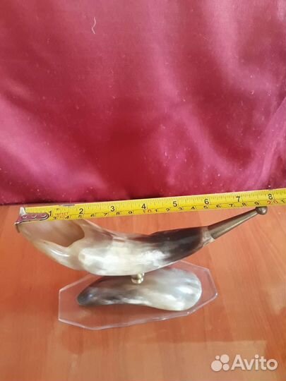 Рог изобилия