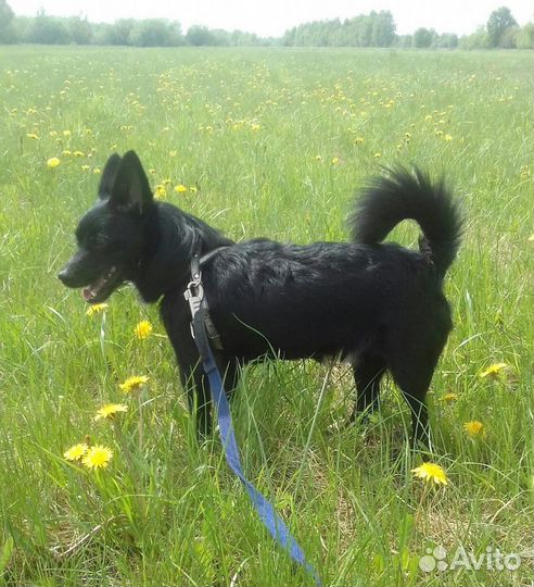 Классный парень Крош