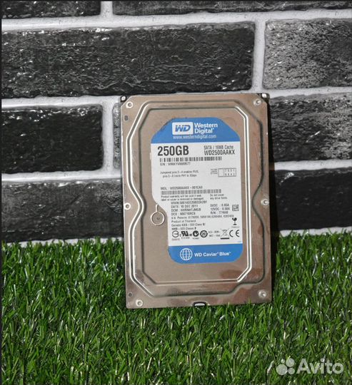 Жёсткие диски WD Tohiba Seagate розница опт+SSD