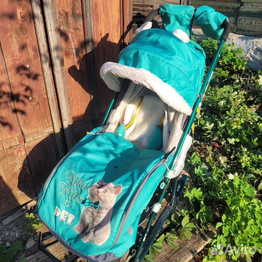 Санки коляска nika