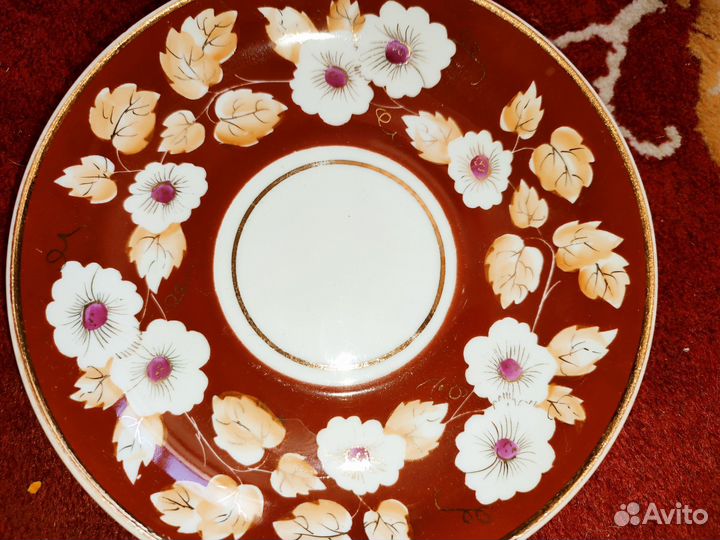 Вербилки. Луноцвет блюдца