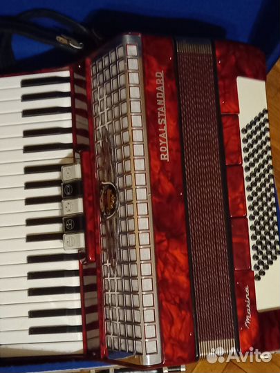 Аккордеон poyal standard