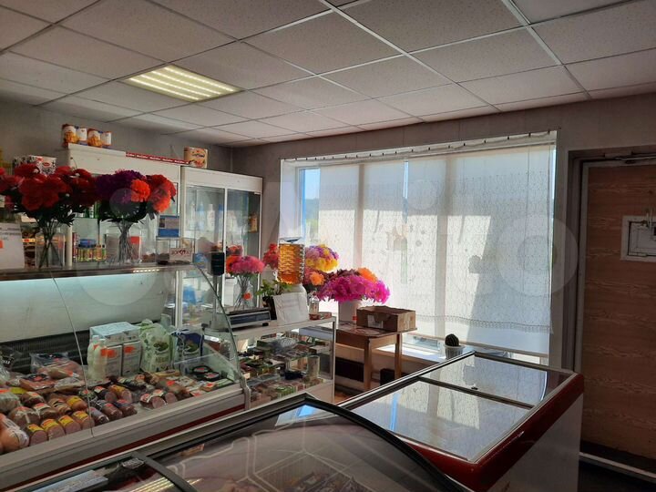 Торговая площадь, 100 м²