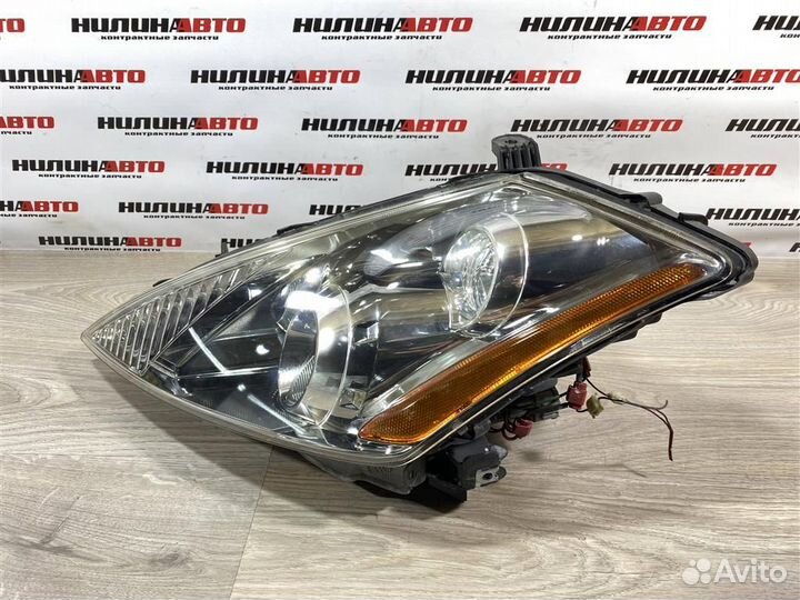Фара левая Ниссан Мурано Z50