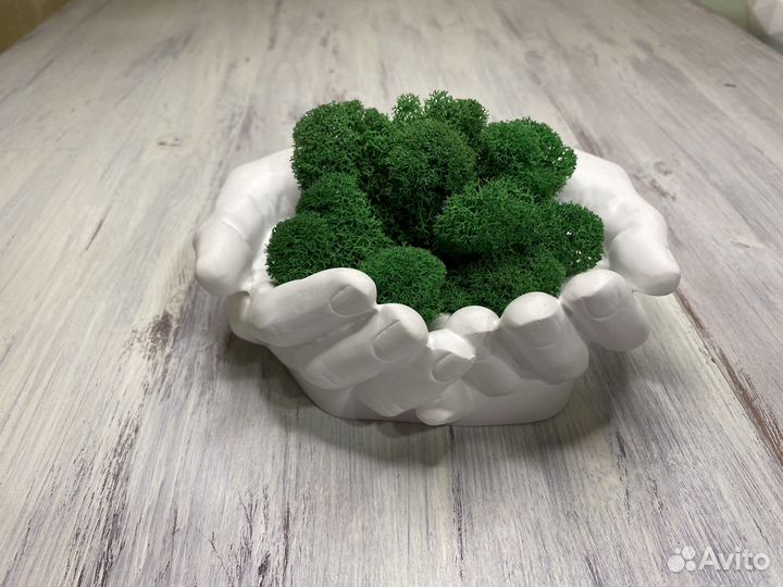 Кашпо руки органайзер