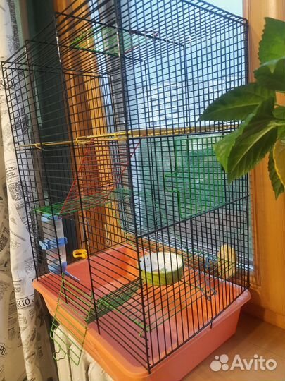 Клетка для грызунов бу