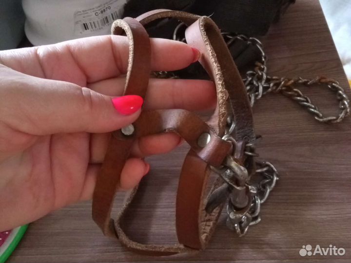 Шлейка для маленькой собаки