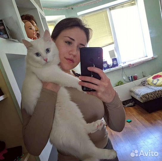 Передержка животных