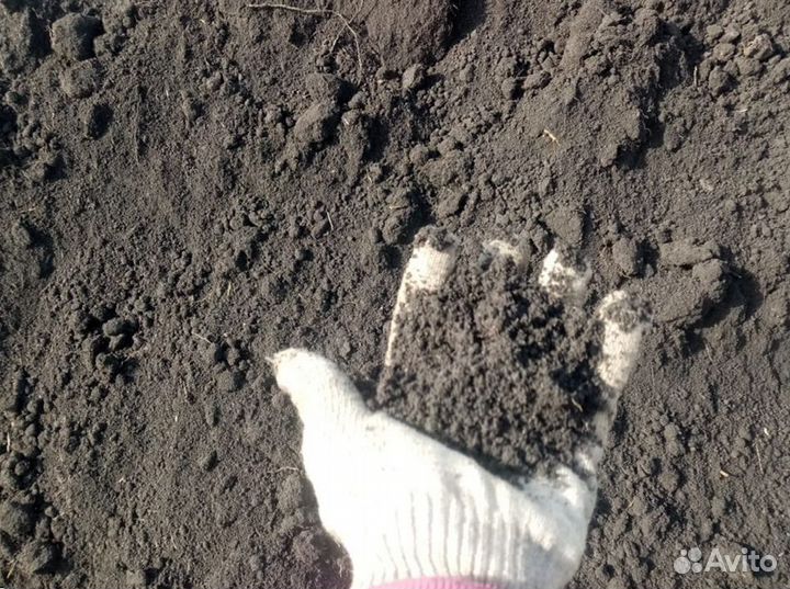 Чернозем без мусора 5-10 кубов