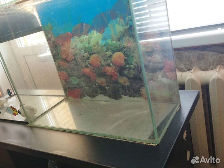 Аквариум