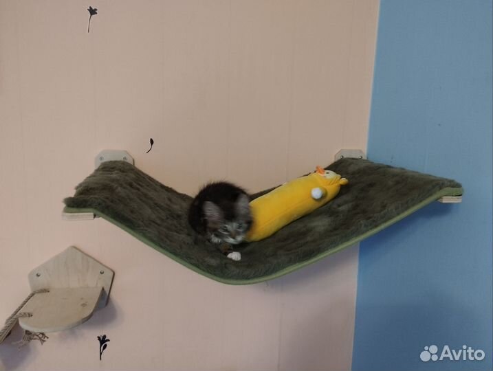 Игровой комплекс для кошек
