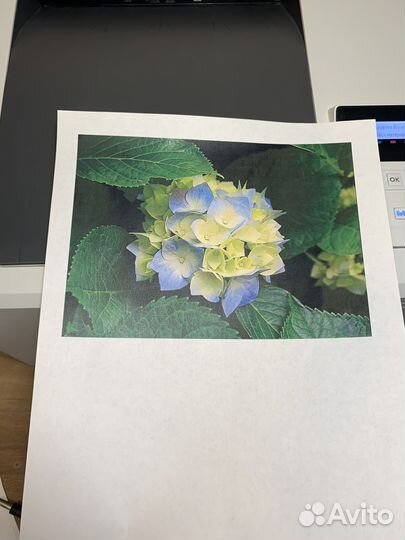 Hp color lj m254n wifi