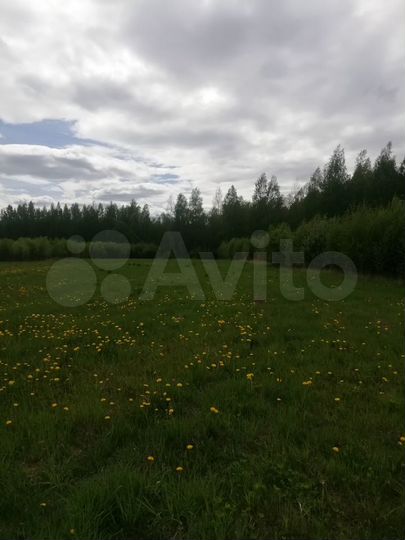 Участок 3,17 га (СНТ, ДНП)