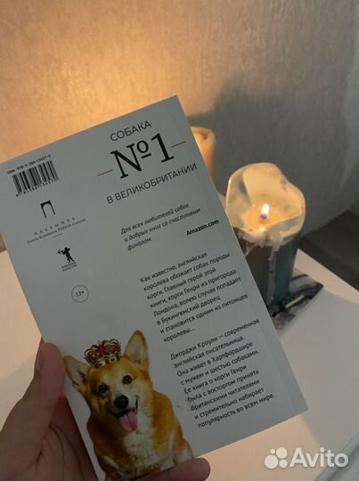 Корги по имени Генри