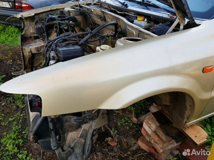 Иран Кходра Саманд Крылья