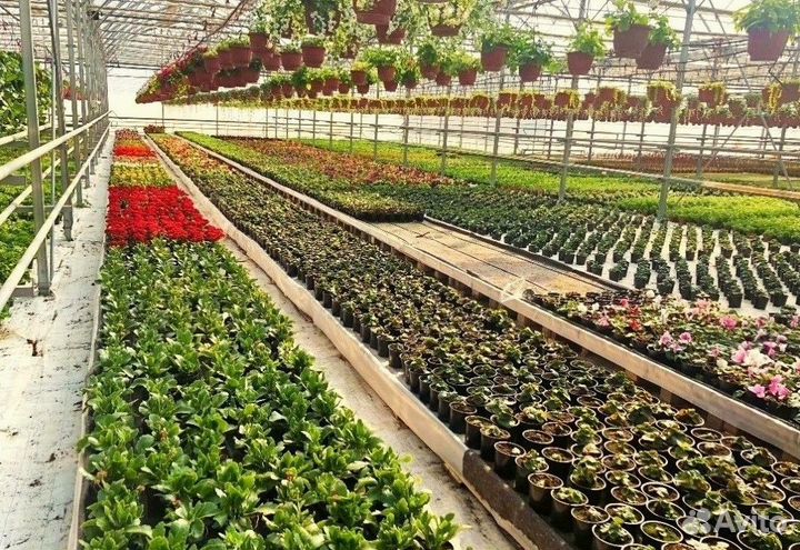 Теплица из поликарбоната