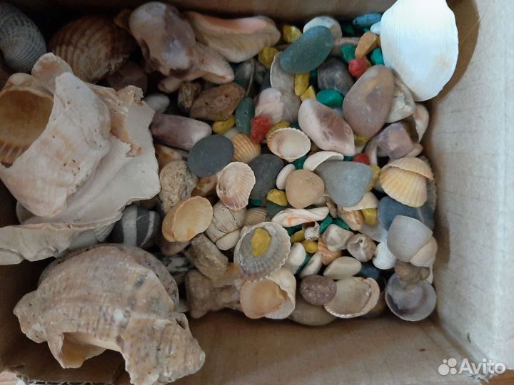 Ракушки,грунт