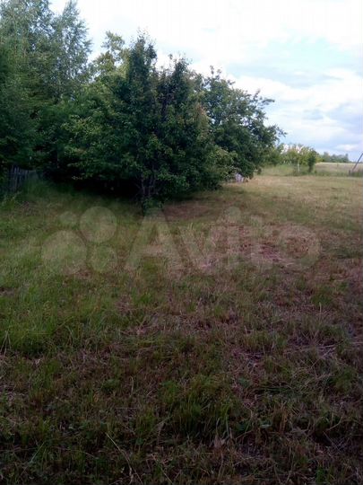 Участок 32 сот. (личное подсобное хозяйство (лпх))