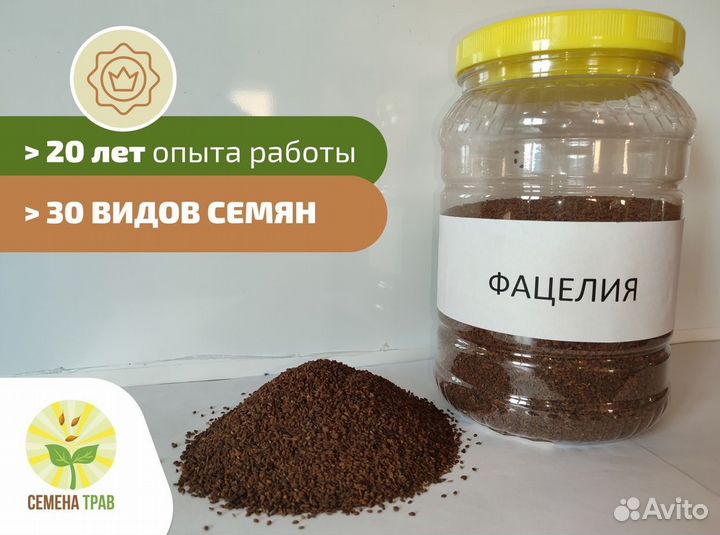 Семена фацелии