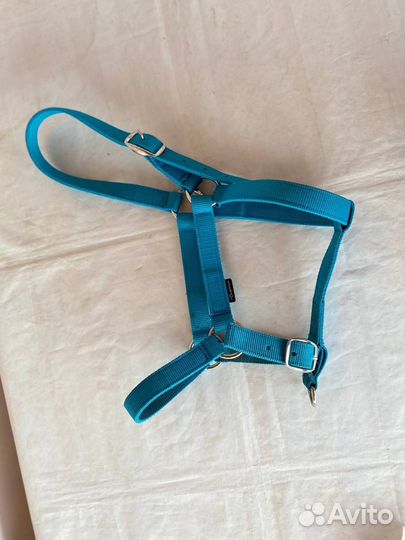 Амуниция для лошади