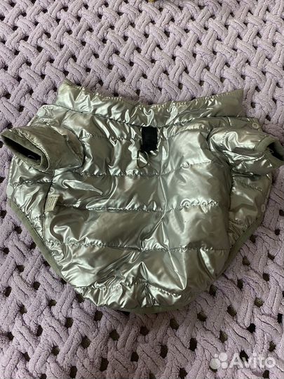 Курточка демисезонная для маленькой собачки