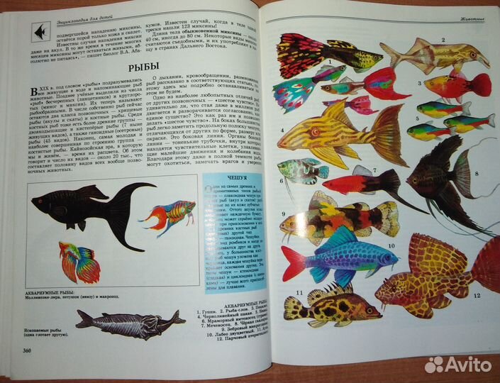 Детские книги, издательство 