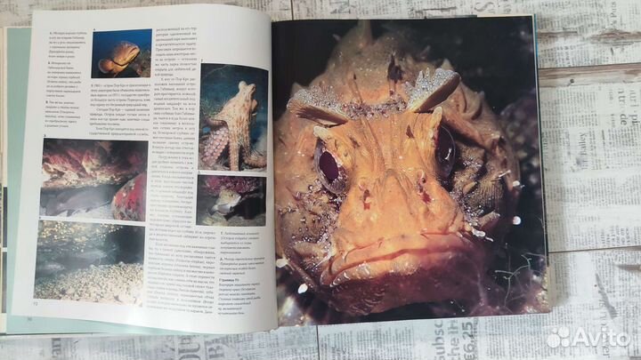 Книга подарочная.Дайвинг