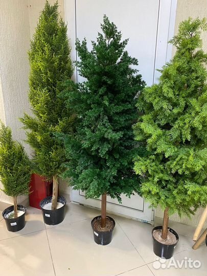 Искусственные растения, коврики, пальмы, деревья