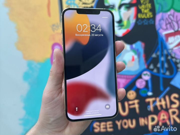 iPhone 12 Pro Max, 256 ГБ
