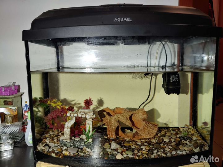 Аквариум Aquael
