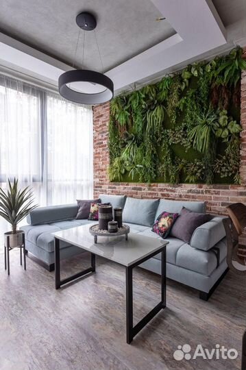 Вертикальное озеленение