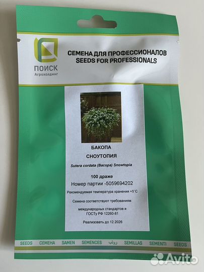 Рассада бакопы