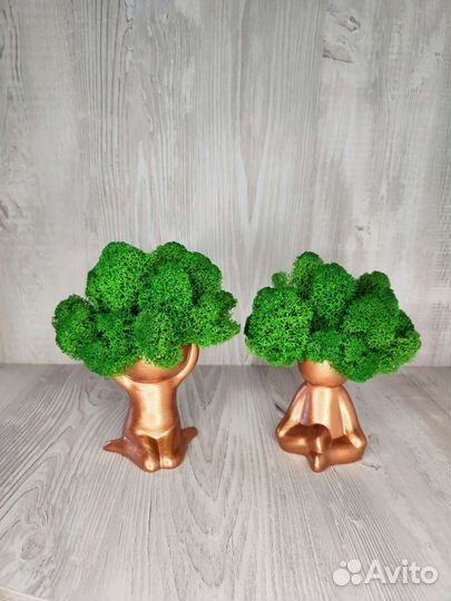 Кашпо, декорированные мхом