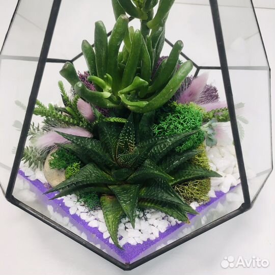 Флорариум с экзотическими цветами