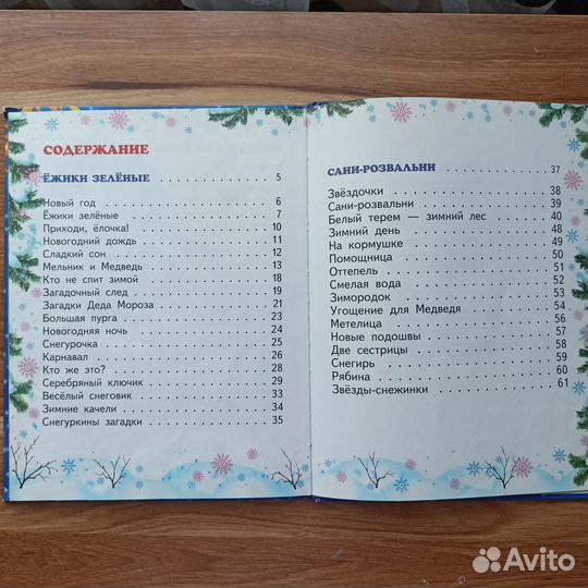 Зимний карнавал