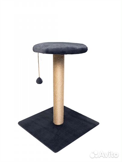 Когтеточки