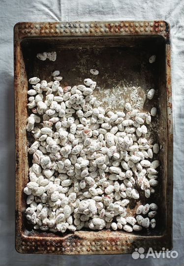 Ферментированные продукты для долголетия